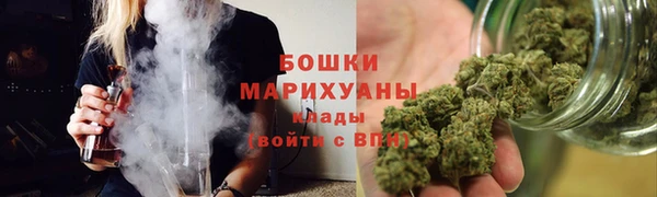 шишки Володарск