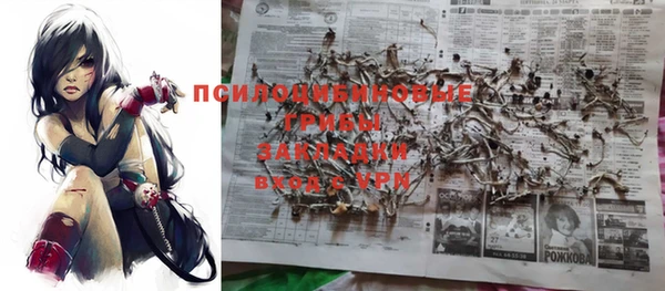 шишки Володарск