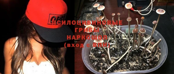 шишки Володарск