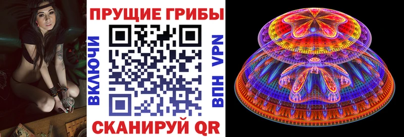 Псилоцибиновые грибы прущие грибы  МЕГА ONION  Химки 